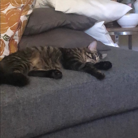 Meet your Posher, Andrew - Picture 1 of 1